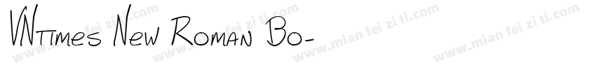 VNtimes New Roman Bo字体转换